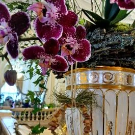 Vajdahunyad Vára, Budapest - Belső