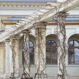 Várkert Bazár, Budapest - Egyéb