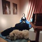 Várkert Bazár Budapest - Egyéb