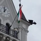 Városháza Kaposvár - Egyéb