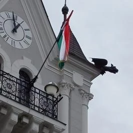 Városháza, Kaposvár - Egyéb