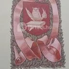 Városháza Kaposvár - Egyéb