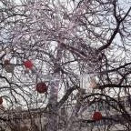 Városháza Téli Élménypark Budapest - Egyéb