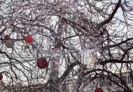 Városháza Téli Élménypark Budapest