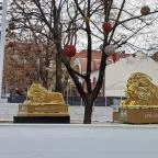 Városháza Téli Élménypark Budapest - Egyéb