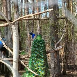 Veresegyházi Medveotthon, Veresegyház - Külső kép