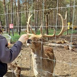 Veresegyházi Medveotthon, Veresegyház - Külső kép