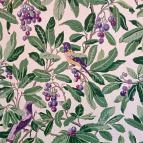 Villa Bagatelle Budapest - Egyéb