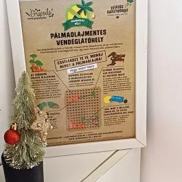 Yes Chef!, Újkígyós - Egyéb