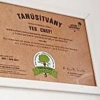 Yes Chef! Újkígyós - Egyéb