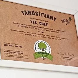 Yes Chef!, Újkígyós - Egyéb