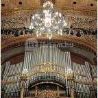 Zeneakadémia Budapest - Egyéb