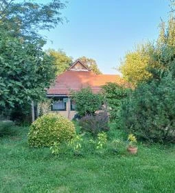 Zöld Oliva Apartman