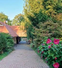 Zöld Oliva Apartman