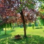 Zöld Oliva Apartman Bárdudvarnok - Egyéb