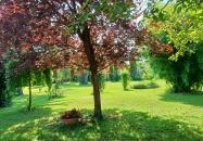 Zöld Oliva Apartman Bárdudvarnok