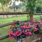 Zöld Oliva Apartman Bárdudvarnok - Egyéb