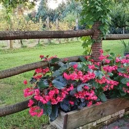 Zöld Oliva Apartman, Bárdudvarnok - Egyéb