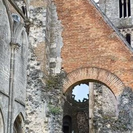 Zsámbéki Romtemplom és Kőtár Zsámbék - Egyéb