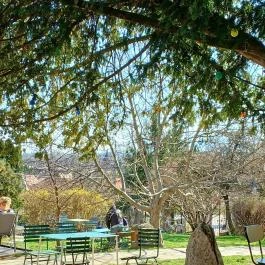 Zsengélő Café, Verőce - Külső kép