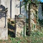 Zsidó temető Mád - Egyéb