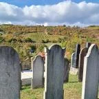 Zsidó temető Mád - Egyéb