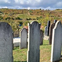 Zsidó temető, Mád - Egyéb