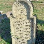 Zsidó temető Mád - Egyéb