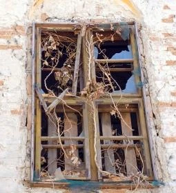 Zsinagóga