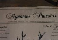 Agancsos Borozó Villány