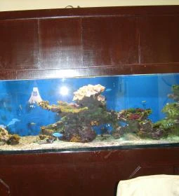 Kilenc Sárkány Étterem