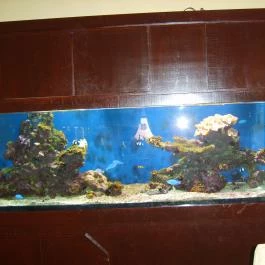 Kilenc Sárkány Étterem, Budapest - Belső