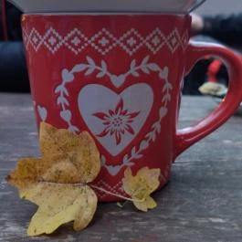 Kis Rigó Vendéglő Pilisszentlászló - Egyéb