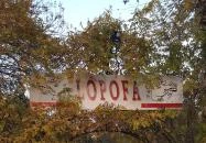 Lópofa Csárda Kiskunmajsa