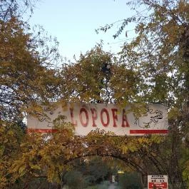 Lópofa Csárda Kiskunmajsa - Külső kép