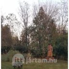 Lópofa Csárda Kiskunmajsa - Külső kép