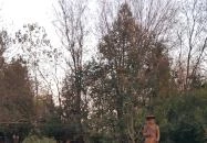 Lópofa Csárda Kiskunmajsa