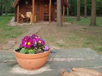 Orfalusi Vendégház Orfalu