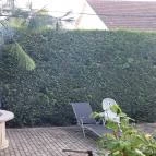 Rémus Vendégház Szarvas - Egyéb