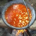 Pintér Tanya Panzió Erdőtelek - Vendéglátás