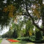 Hotel Anna Mátrafüred - Környék