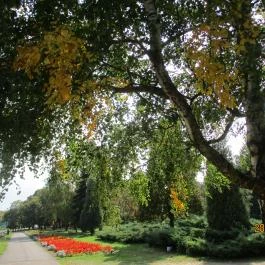 Hotel Anna, Mátrafüred - Környék