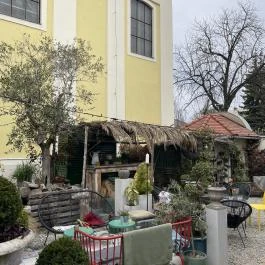 Fürge Páva, Monor - Egyéb