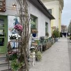 Fürge Páva Monor - Egyéb