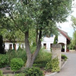 Akasztói Horgászpark & Halascsárda, Akasztó - Külső kép