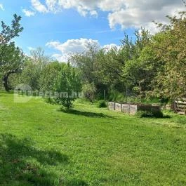 Apartman Vörösdombi Vendégház Cserkút - Egyéb