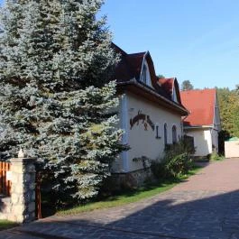 Aranybánya Panzió és Apartmanház , Telkibánya - Medence/kert