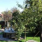 Aranybánya Panzió és Apartmanház Telkibánya - Medence/kert