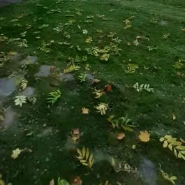 Aranyhegyi Vendégház, Telkibánya - Medence/kert