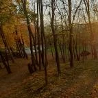 Aranyhegyi Vendégház Telkibánya - Környék